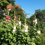 Suedalpen Lofts * Bleiburg