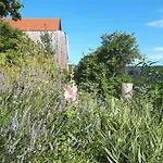 Südalpen Lofts *