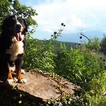Suedalpen Lofts Daire