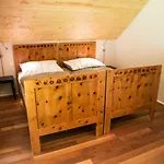 Apartment Suedalpen Lofts *