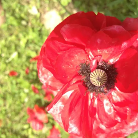 شقة Suedalpen Lofts