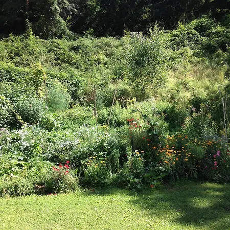 شقة Suedalpen Lofts بليبورغ