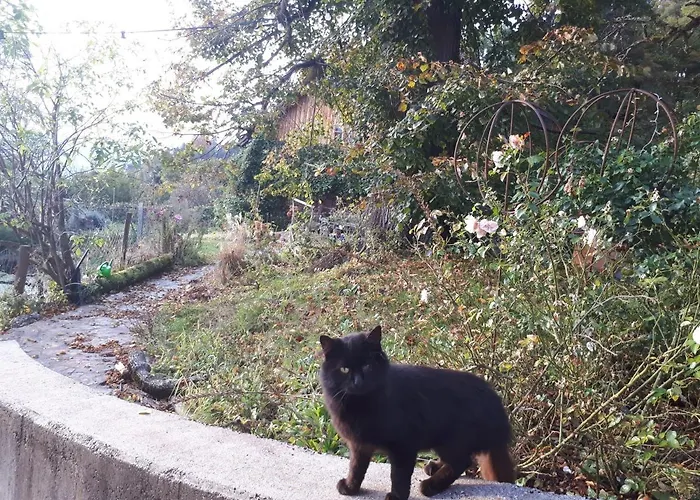 Suedalpen Lofts بليبورغ