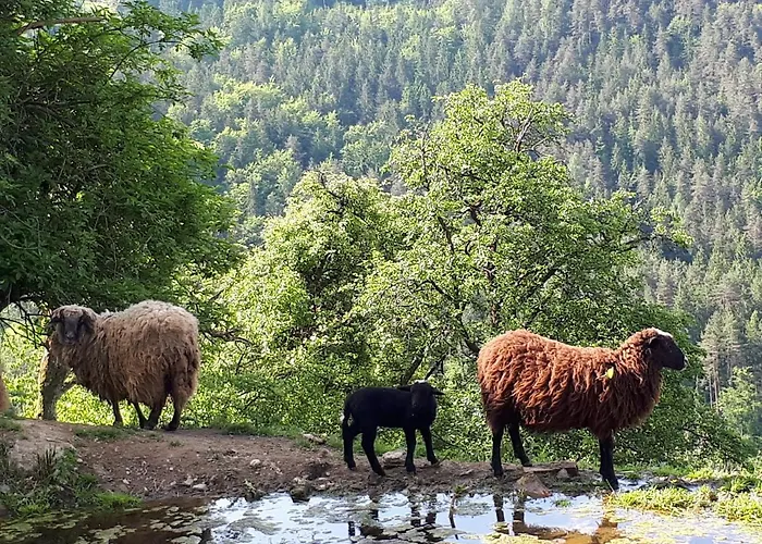 Lejlighed Suedalpen Lofts