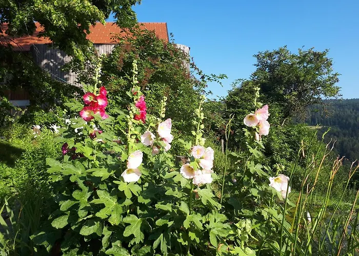 Suedalpen Lofts * Bleiburg