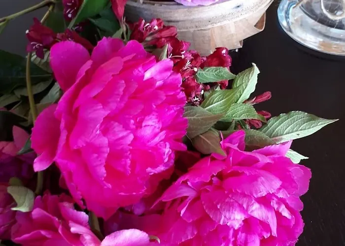 Apartman Suedalpen Lofts *