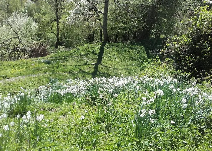 شقة Suedalpen Lofts *