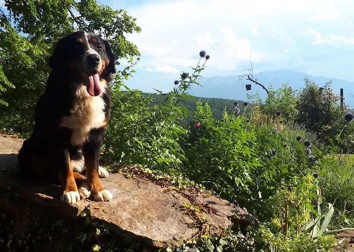 Suedalpen Lofts شقة