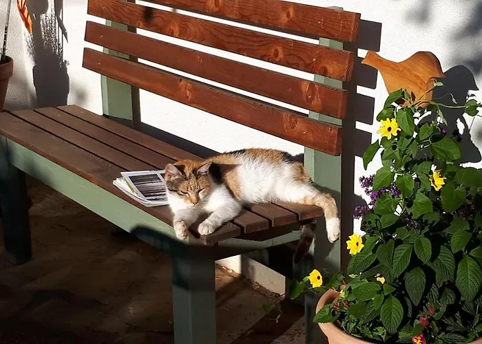 Suedalpen Lofts * Bleiburg