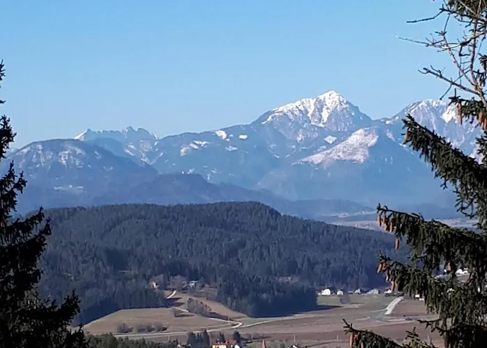 شقة Suedalpen Lofts بليبورغ