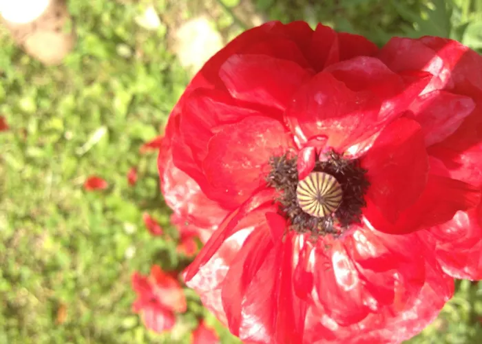 شقة Suedalpen Lofts