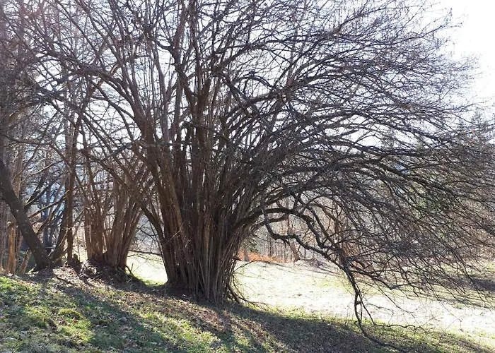 شقة Suedalpen Lofts *